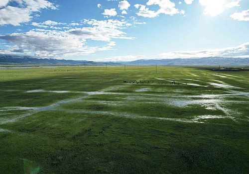Ardahan Ovası Göle Döndü: Eşsiz Doğa Olayı Havadan Görüntülendi