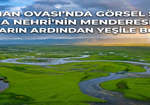 Ardahan Ovası'nda Görsel Şölen: Kura Nehri'nin Menderesleri Yağışların Ardından Yeşile Boyandı