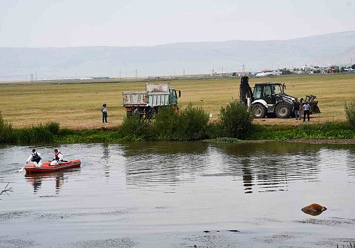 Ardahan ovasındaki merada otlandığı sırada Kura nehrine düşen inek suyun akıntısı ile birlikte sürüklenmeye başladı