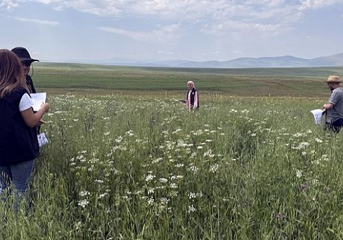 Ardahan Tarım Müdürlüğü ekipleri tarımsal destekler ve ürün tespiti için sahada çalışma yaptı