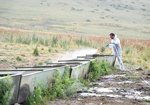 Ardahan Valisi Çiçek, şap hastalığına yönelik bilgilendirme ve dezenfeksiyon çalışmalarına katıldı
