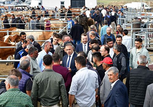 Ardahan Valisi Hayrettin Çiçek, Ardahan Hayvan Pazarını ziyaret etti