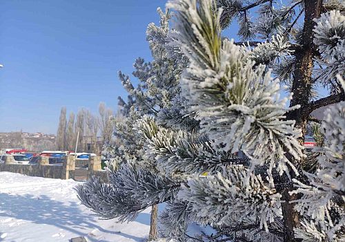 Ardahan ve ilçeleri Sibirya soğuklarına teslim oldu
