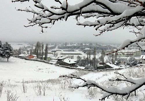 Ardahan ve Kars'ta etkisini artıran kar, yaşamı olumsuz etkiledi