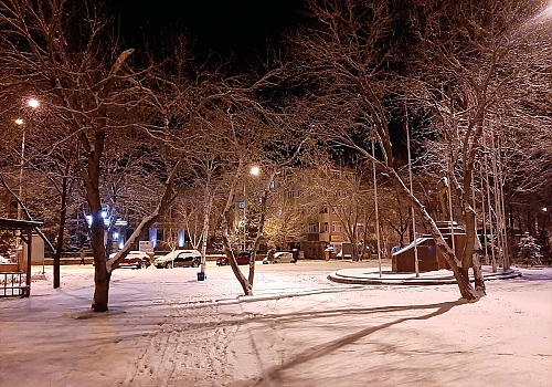 Ardahan ve Kars'ta kar yağışı etkili oldu