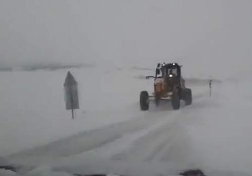 Ardahan ve Kars'ta kar yağışı ve tipi hayatı olumsuz etkiliyor