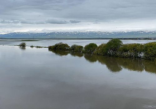 Ardahanda 2 gündür yağan yağmur nedeniyle Kura Nehri taştı Ardahan Ovası suyla kaplandı