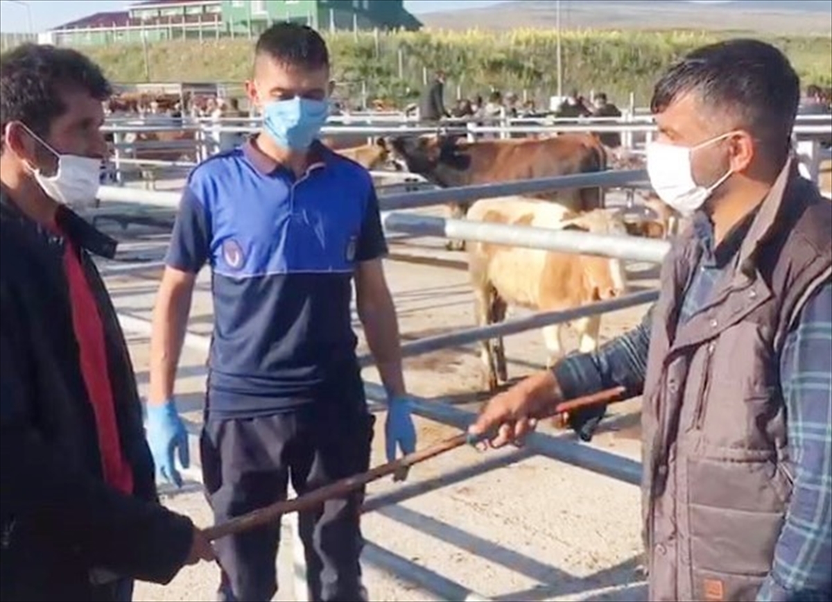 Ardahan'da canlı hayvan pazarı yeniden açıldı