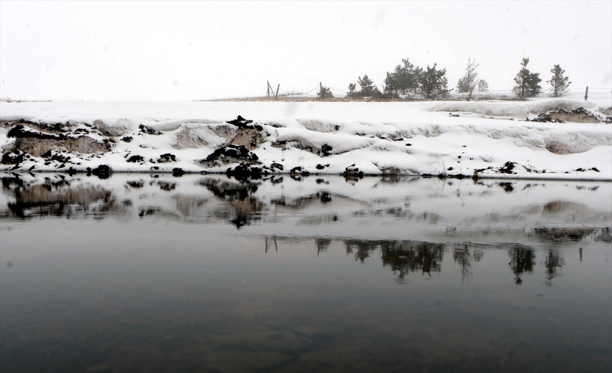 Ardahan'da kar yağışı ve sis etkili oluyor