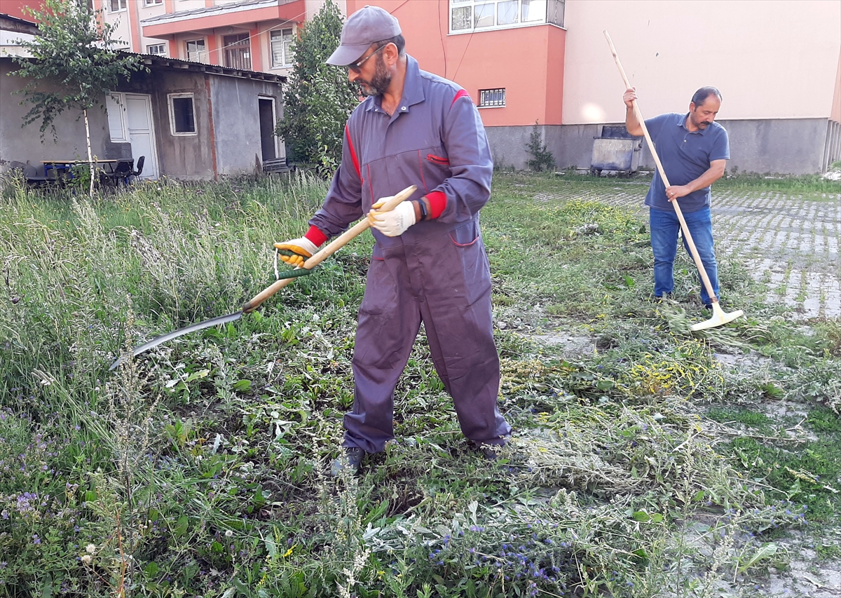 Ardahan'da öğretmenler tırpan ve tırmıkla okul bahçesindeki otları biçti