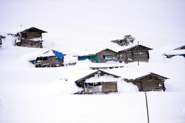 Ardahan'da yayla evleri kar altında kaldı