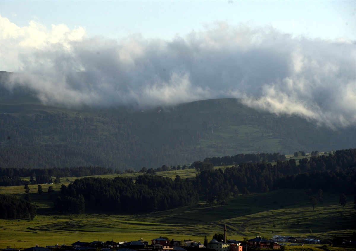 Ardahan'da yoğun sis görsel şölene dönüştü
