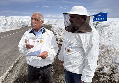 Ardahanlı Arıcılardan ‘Yol’ İsyanı: Bülbülan Geçidi Kışın da Açık Kalsın