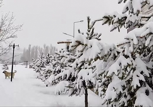 Ardahanlı vatandaşlar Nisan ayında güne karla uyandılar