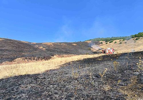 Aşkale’de Anız Yangını: 100 Dönüm Tarım Arazisi Küle Döndü