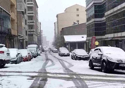 Bahar Beklerken Kış Geri Geldi: Ardahan'da Kar Esareti