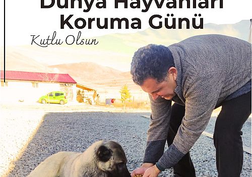 Başkan Demir’den 4 Ekim Dünya Hayvanları Koruma Günü Mesajı