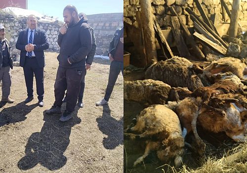 Başkan Gündoğdu’dan Çıldır Aşağıcambaz Köyü’ne Geçmiş Olsun Ziyareti