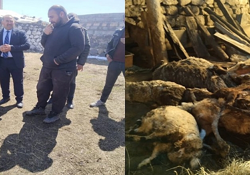 Başkan Gündoğdu’dan Çıldır Aşağıcambaz Köyü’ne Geçmiş Olsun Ziyareti