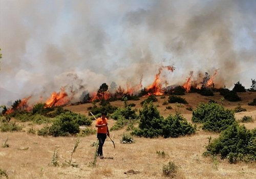 Bingöl'de çıkan orman yangını büyümeden söndürüldü