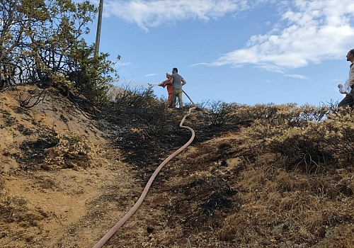 Bingöl'de ormanlık alanda çıkan yangın söndürüldü