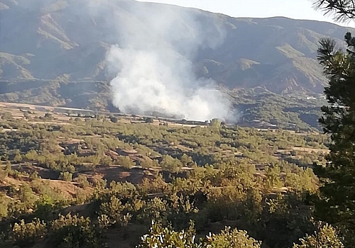 Bingöl'de ormanlık alanda çıkan yangın söndürüldü