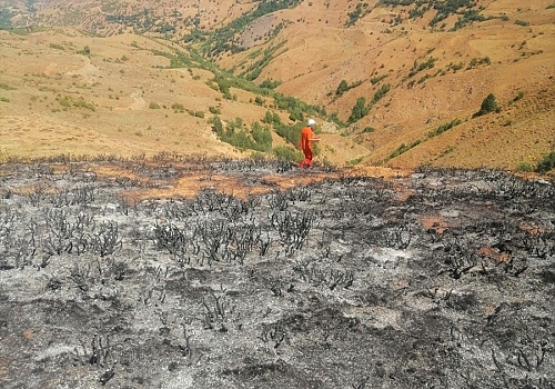 Bingöl'de otluk alanda çıkan yangın büyümeden söndürüldü