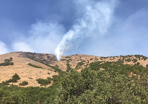 Bingöl'deki orman yangınına müdahale sürüyor