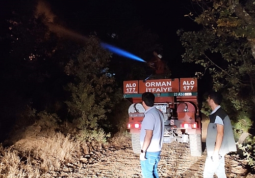 Bingöl'deki orman yangınının bir bölümü söndürüldü