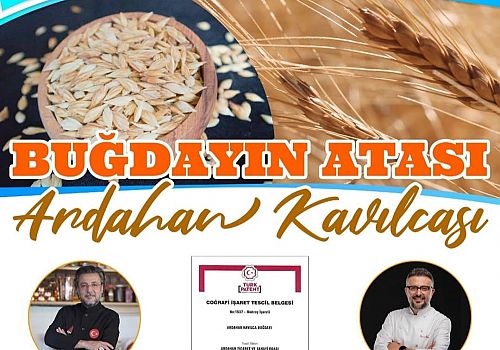 Buğdayın atası Ardahan kavılcası etkinliği gerçekleştirildi.