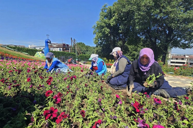 Bursa Osmangazi çiçek açıyor