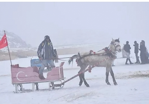 Buz tutan Çıldır Gölü'nde atlı kızak keyfi