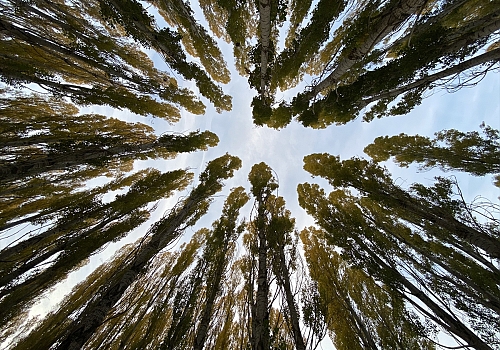 Çetin kışıyla bilinen Kars'ta sonbahar güzel görüntüler oluşturdu