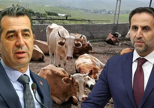 CHP Ardahan’da sahaya iniyor. Üreticilerle buluşacak, çözüm önerilerini raporlayacak.