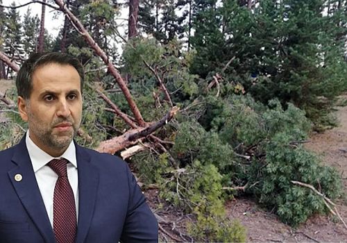 CHP Milletvekili Özgür Erdem İncesu Ardahan’da bazı bölgelerde yapılan ağaç kesimlerine dikkat çekti.