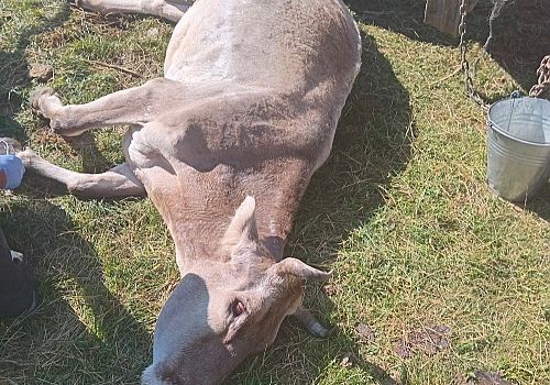 CHP Milletvekili Öztürk Erdem İncesu üreticilerin kaderine terk edilemeyeceğini vurguladı 