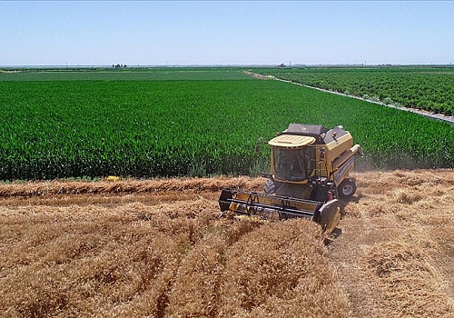 Çiftçilere bu yıl için ödenecek tarımsal destekler belirlendi 