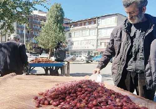 Çıldır Cancuru 100 TL’den Satışa Çıktı
