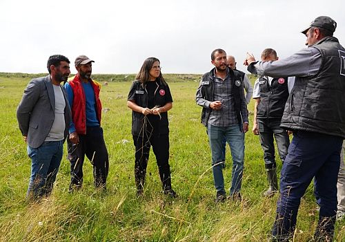 Çıldır’da Dolu Vurgunu: Tarım Arazilerinde Hasar Tespit Çalışmaları Başladı!