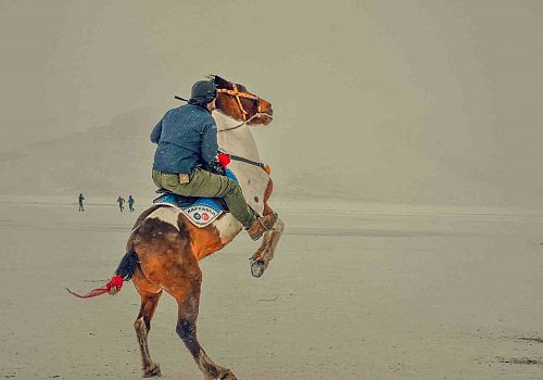 Çıldır Gölü, doğal güzellikleriyle her mevsim ağırladığı yerli ve yabancı turistlerin ilgi odağı oluyor.