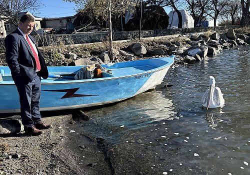 Çıldır Gölü kıyısında balıkçı ailenin  büyüttüğü iki pelikandan biri havaların soğumasıyla ilk kez göç etti.
