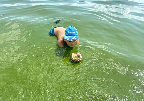 Çıldır Gölü maviden yeşil renge büründü