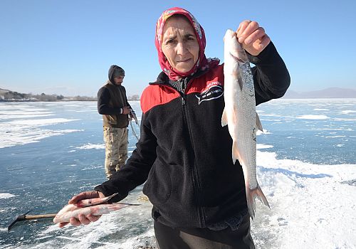 Çıldır Gölü'nde balık avcılığı yapan Çınar Kılıç, avladığı balıkları satışa sunuyor.