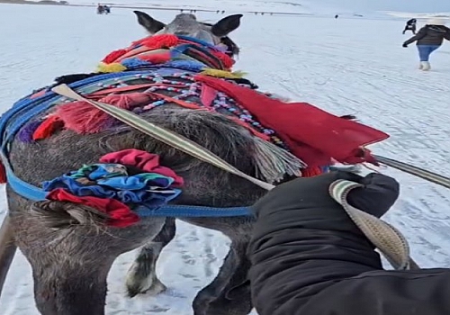 Çıldır Gölü’nde Buzdan Elveda: Atlı Kızak Sezonu Kapandı