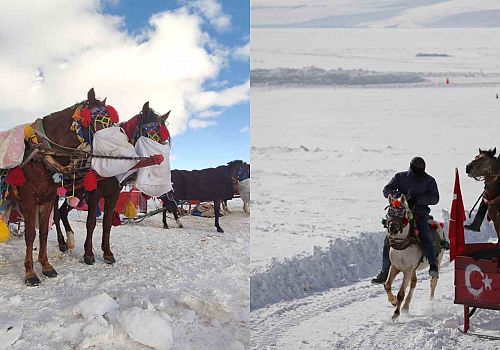 Çıldır Gölü’nde Kış Turizmi Yoğunluğu: Atlı Kızaklara Büyük İlgi