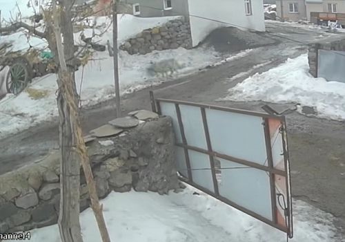 Çıldır Merkez Meryem köyünde kurt kaz kaptı: O anlar kamerada