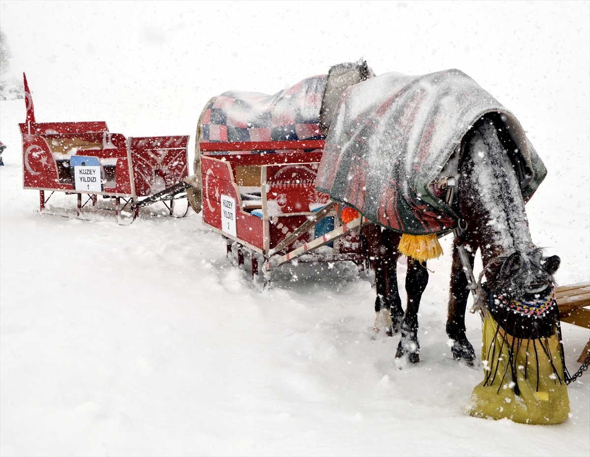 Çıldır'ın sembolü atlı kızakçılara kar engeli