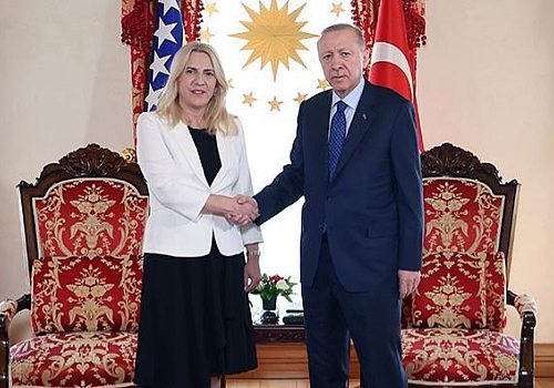 Cumhurbaşkanı Erdoğan Sviyanoviç'i kabul etti