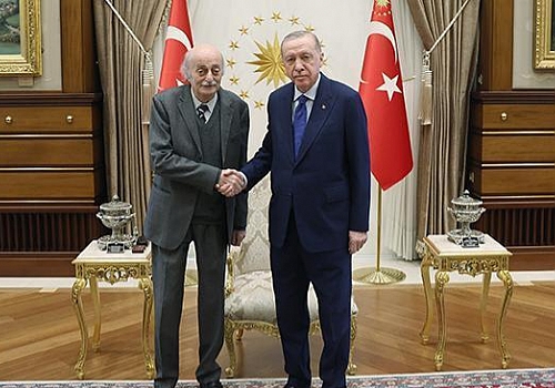 Cumhurbaşkanı Erdoğan, Velid Canbolat'ı kabul etti