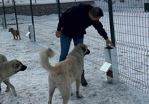 Damal da Hayvan Bakımevi ve Rehabilitasyon Merkezi açıldı